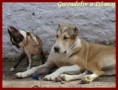 /album/fotogalerie/hratky-gwen-a-dzan-jpg/